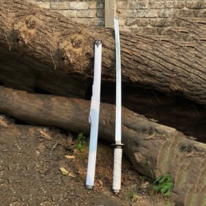 Barbarian Sword